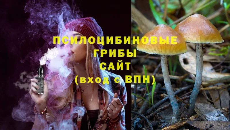 Галлюциногенные грибы Magic Shrooms  Кимры 